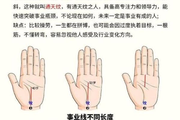 事业线图解，解锁职场成功的视觉密码-方知甜