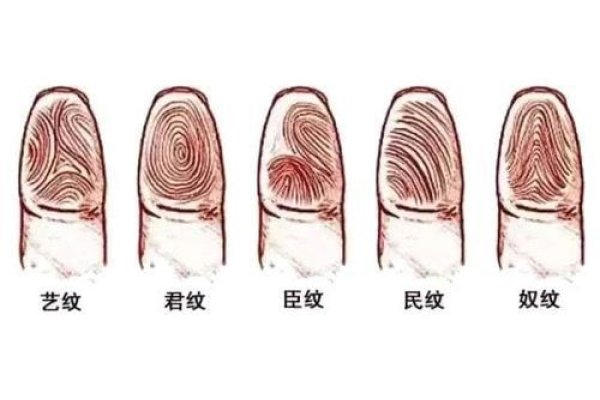 手指螺纹，精致生活中的细腻肌理-方知甜