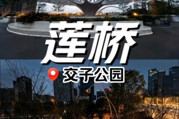 同城交友论坛，连接城市心跳的桥梁-方知甜