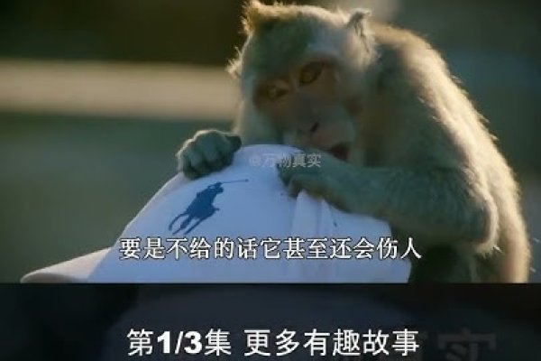 天翻地覆打一生肖，答案非猴莫属-方知甜