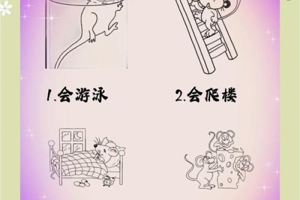 徒劳无功的生肖，鼠的寓言与启示-方知甜