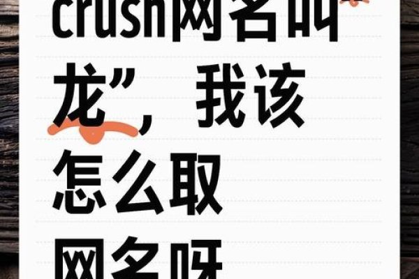 天龙网名，探索虚拟与现实的交汇点-方知甜