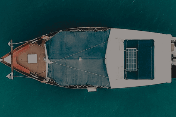 同名查询，在信息洪流中寻找独一无二的你-方知甜