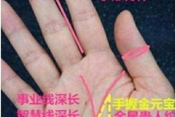 天天向上看手相，解读命运密码，把握人生指南-方知甜