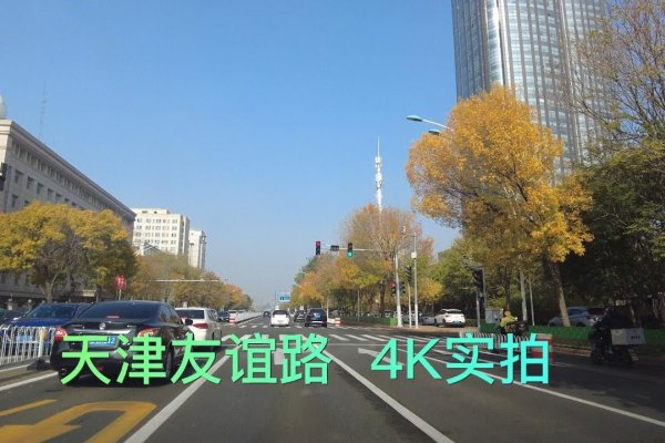 天津交友群，连接津门，共筑友谊桥梁-方知甜