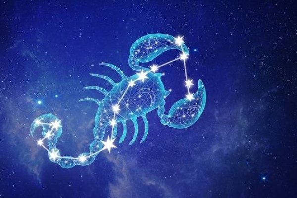 天蝎，神秘而独特的生物探索-方知甜