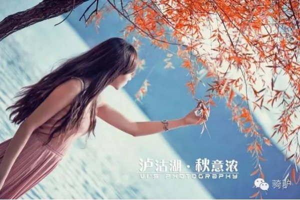 我的佳缘，一段不期而遇的美好-方知甜