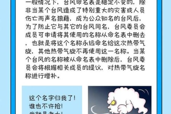 我给台风起名字，一场创意与自然的奇妙邂逅-方知甜