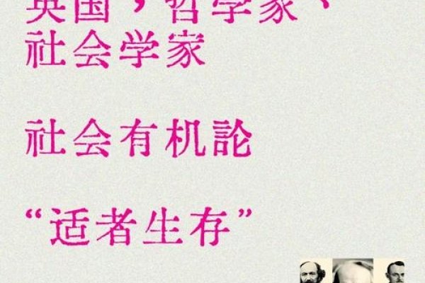 外国聊天室，多元文化下的情感纽带与思想共鸣-方知甜