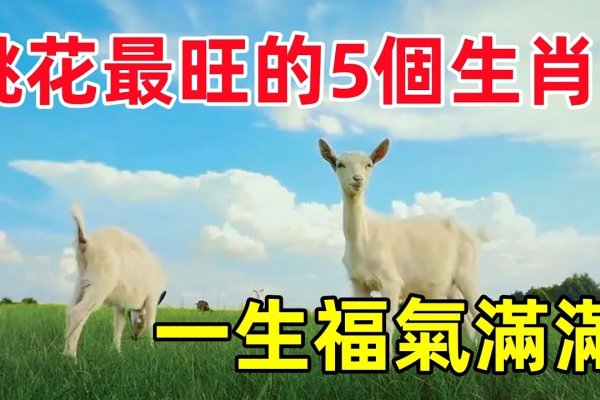 五行俱全，一汪生机，五花八门与生肖的奇妙联结-方知甜