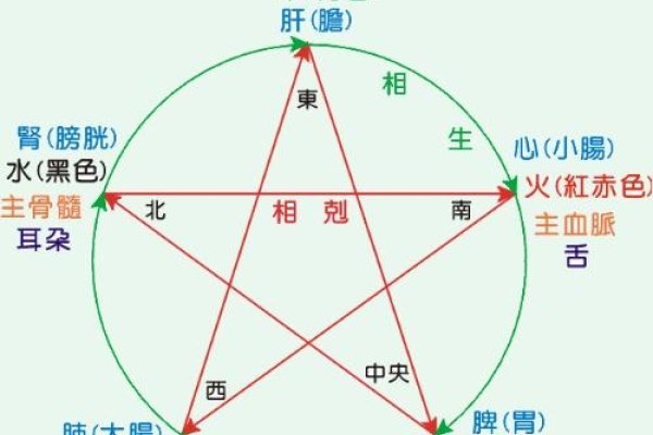 五行相生，平衡共生，万物和谐生长-方知甜