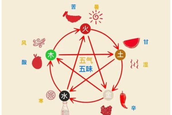 五行养生，精准测八字，科学调养健康-方知甜