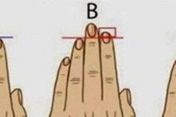 无名指比食指长,性格与生理的奥秘?-方知甜