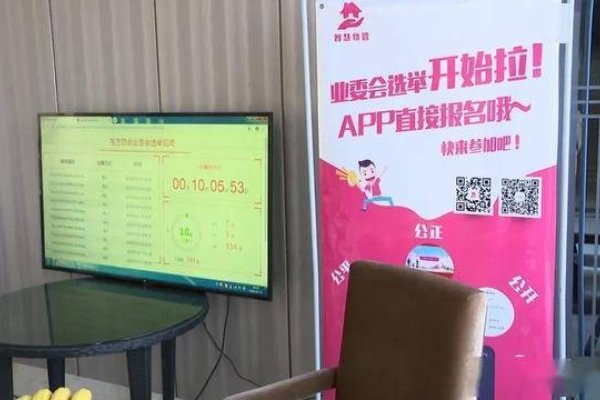 网上抽签，公平、高效与便捷的新时代选择-方知甜