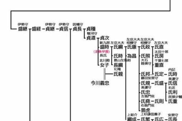网上家谱，数字化时代的家族记忆与传承-方知甜