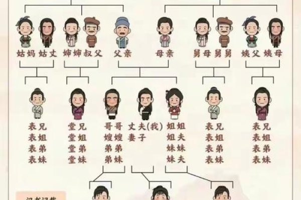 网络家谱，传承家族记忆，连接亲情纽带-方知甜