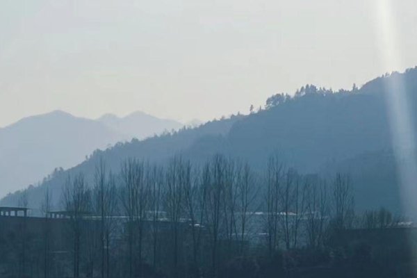 网络情感，虚拟世界的真实纽带-方知甜