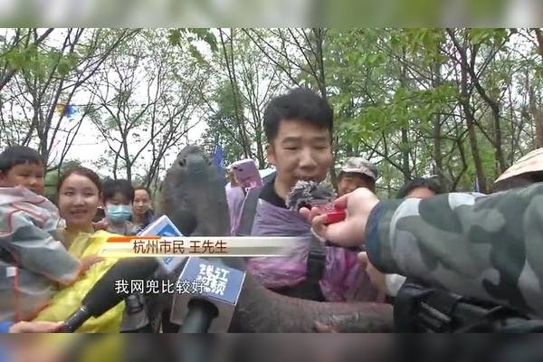 王祥求鲤，守护碧波之鱼的智慧-方知甜