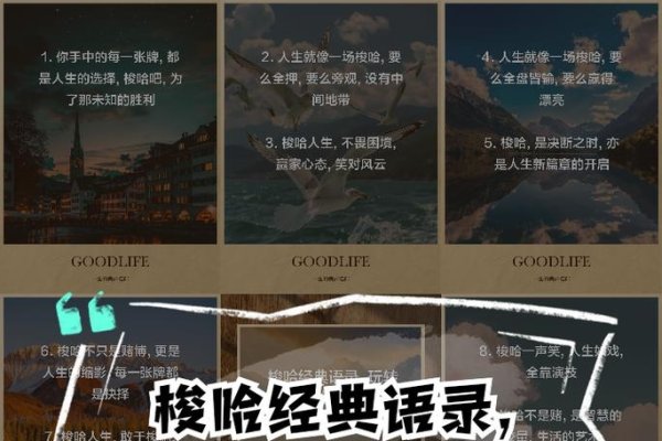 网络测寿命游戏，娱乐之乐，珍惜当下才是真谛-方知甜