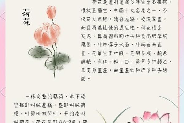 文雅之韵，探寻文雅的深层含义与影响-方知甜