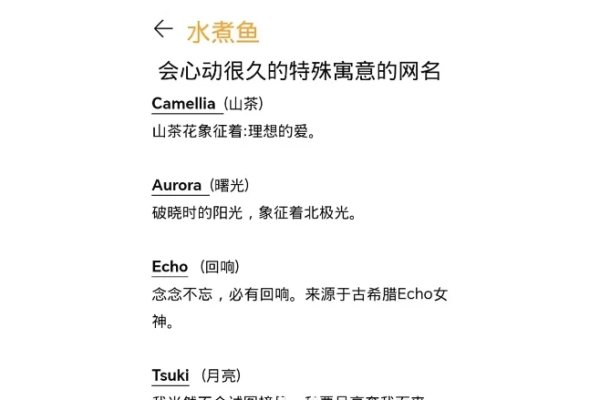 网游戏好名字，创意灵感与寓意解析-方知甜