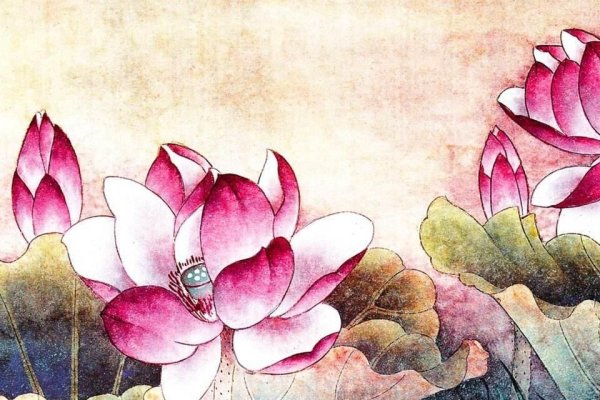 文质彬彬的生肖——兔-方知甜