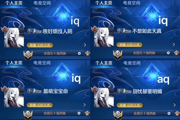 王者荣耀，揭秘特殊符号与空白代码的隐形ID技巧-方知甜