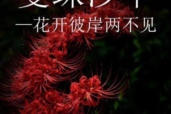 彼岸花测试，轮回次数纯属想象，无科学依据-方知甜