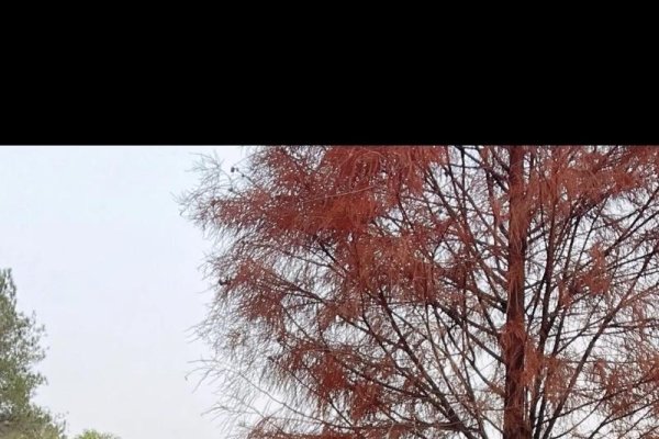 延安征婚，寻找生命中那抹温暖的光芒-方知甜