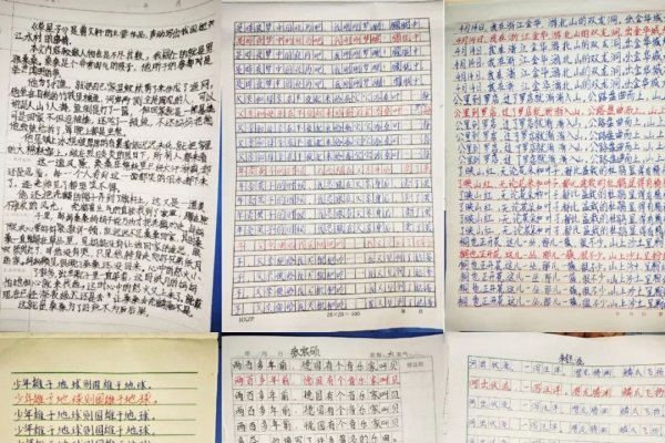 硬笔书法网，数字时代的传统艺术传承-方知甜