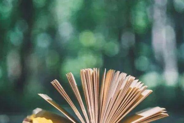 新版网名，夜莺归不归，文艺与哲思的完美融合-方知甜