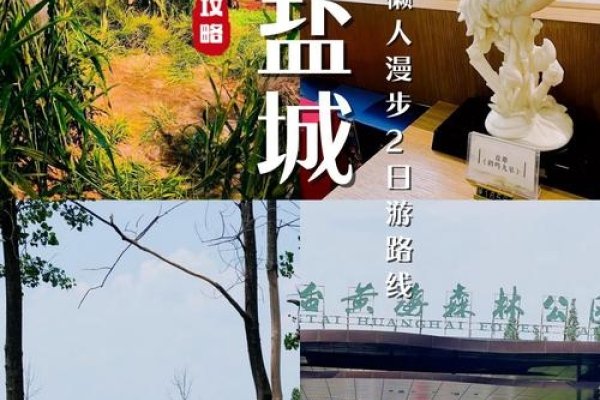 盐城交友，在美丽湿地中邂逅真挚情谊-方知甜