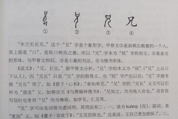 兄的部首，探寻汉字背后的文化密码-方知甜