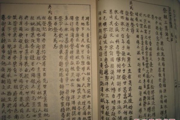 肥东吴氏族谱研究-方知甜