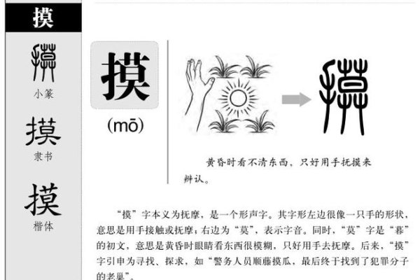 揉的拼音与日常应用，从字音到生活实践-方知甜