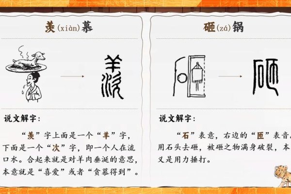 茅的拼音与文化意象，从字音到意境的探索-方知甜