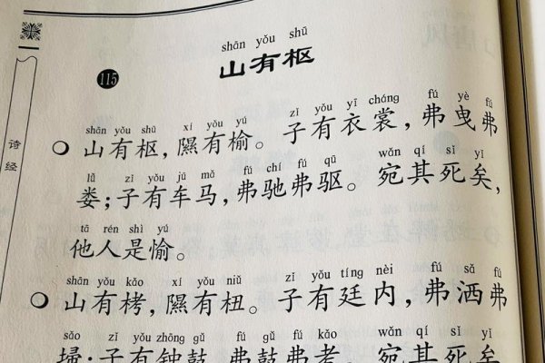 损的拼音与人生智慧，在损中寻得平衡-方知甜