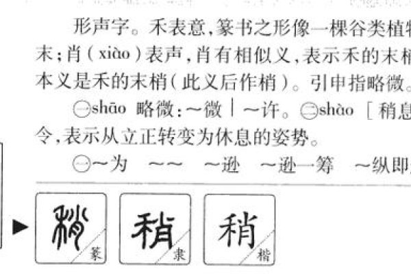 稍的拼音，探寻汉字中的微妙与韵律-方知甜