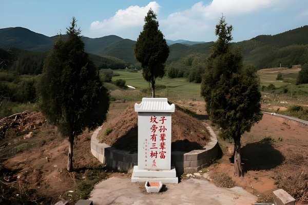 坟地种松柏柳，人财两旺！-方知甜