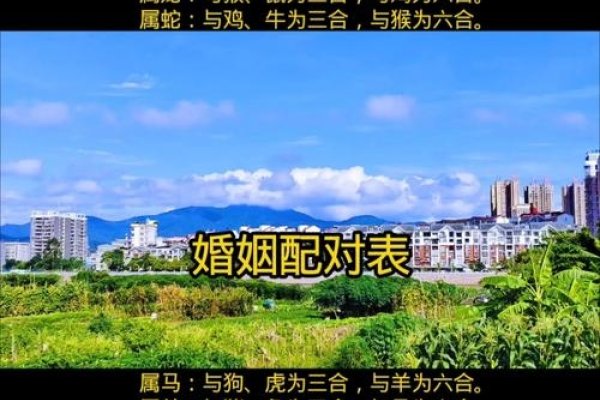 免费婚姻配对，现代爱情的新航标-方知甜