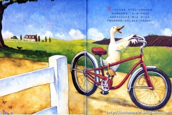 眉飞色舞，一种夸张表达的动物趣谈-方知甜