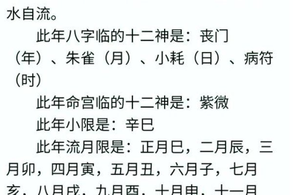 南方批八字软件下载指南，正版与破解版解析-方知甜