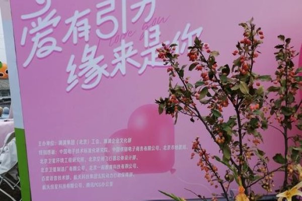 免费相亲，开启美好邂逅的新起点-方知甜