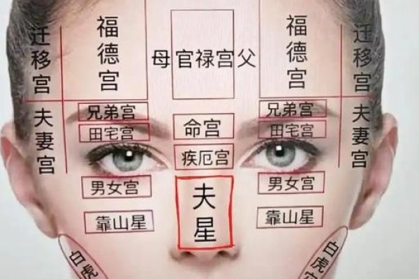 旺夫相图解，传统观念与现代审美的碰撞-方知甜