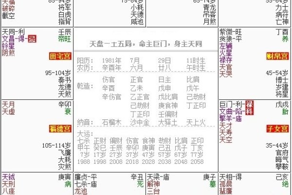 免费紫微排盘网站，在线生成命盘及解析。-方知甜