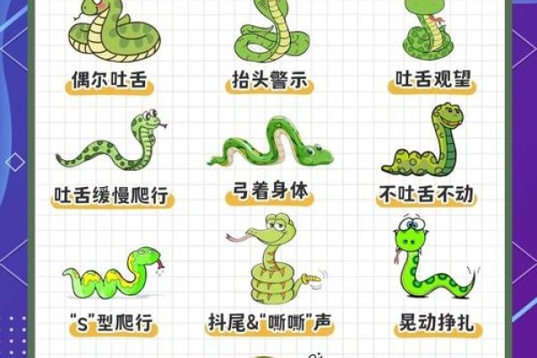 斜风细雨，蛇成生肖之谜揭晓-方知甜