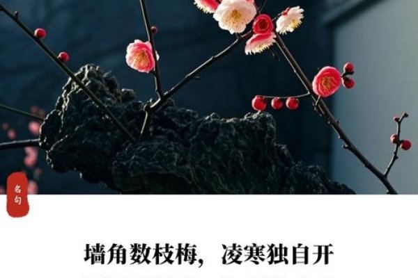 傲骨寒梅打一生肖-方知甜