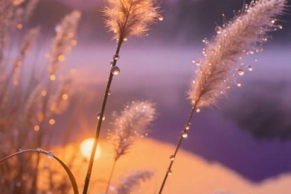 熹光，宁静温暖的晨光，诗意盎然-方知甜