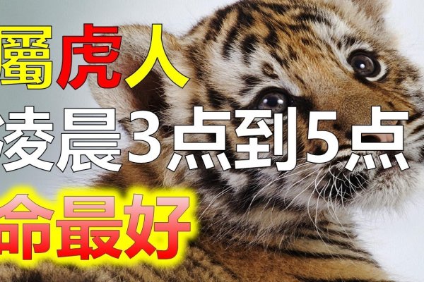 属虎的年龄探秘，岁月与生肖的奇妙交织-方知甜