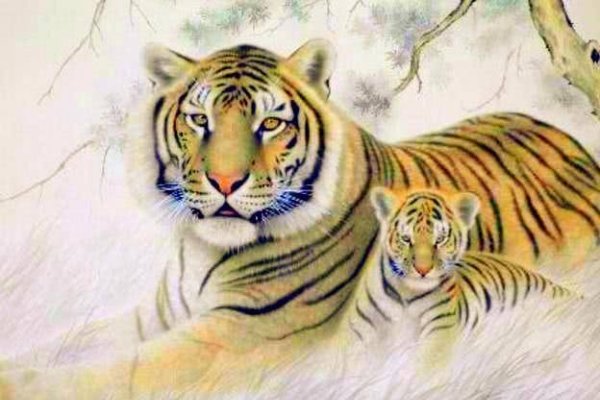 属虎今年有一难，挑战与机遇并存的年份-方知甜